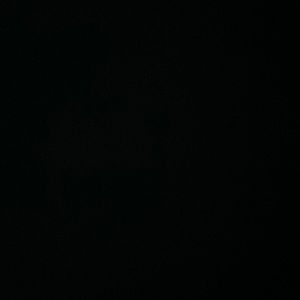 Meet your Posher, Sana